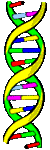 Image of a DNA strand.