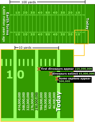 Image of the football field time line with the first appearance of dinosaurs, the disappearance of dinosaurs, and the first appearance of homo sapiens marked on it. Please have someone assist you with this.