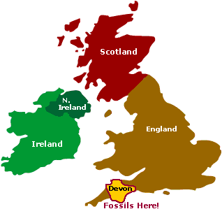 Image of a map that shows Ireland, Northern Ireland, Scotland, England and an area called Devon in southern England where fossils have been found.  Please have someone assist you with this.