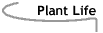 Image that says Plant Life.