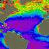 Image of phytoplankton in the worlds oceans's that links to a more detailed image.