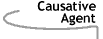 Image that says Causative Agent.