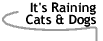 Image that says It's Raining Cats and Dogs.