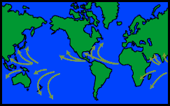 Image which shows the map of the world and the Occurrence and Typical Paths Around the World.  This image links to a more detailed image.