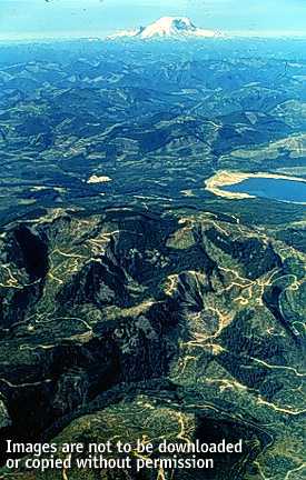 Image of an aerial photograph showing a few fragments of old-growth forest and extensive clear-cutting on high ridges in national forest land.  This image links to an image which shows an enlargement of the area north of Lake Keechelus.