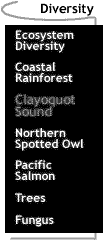 Image that says Diversity: Clayoquot Sound.