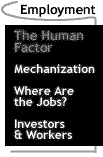 Image that says Employment: The Human Factor.