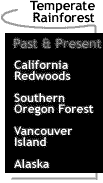 Image that says Temperate Rainforest: Past & Present.