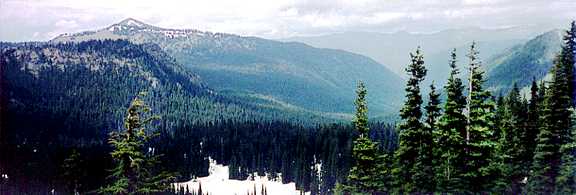 Image showing undisturbed old-growth forest in the northwest corner of the Mount Rainier National Park.