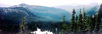 Image showing undisturbed old-growth forest in the northwest corner of the Mount Rainier National Park.  This image links to a more detailed image.