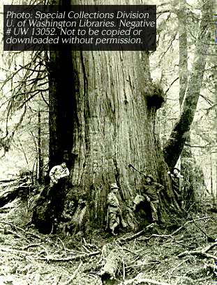 Image of some loggers sitting around an old tree.