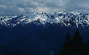 Image of Mt. Olympus and the mountains of Olympic National Park in Washington.  This image links to a more detailed image.