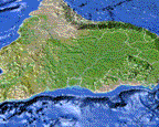Image of a satellite view of the Amazon Basin. This image links to a more detailed image.