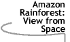 Image that says Amazon Rainforest: View from Space.