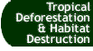 Button that takes you to the Tropical Deforestation and Habitat Destruction page.