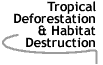 Image that says Tropical Deforestation and Habitat Destruction.