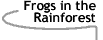 Image that says Frogs in the Rainforest.