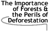 Image that says The Importance of Forests and the Perils of Deforestation.