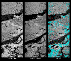 Image of a synthetic aperture radar picture taken of the area around Manaus, Brazil. This image links to a more detailed image.