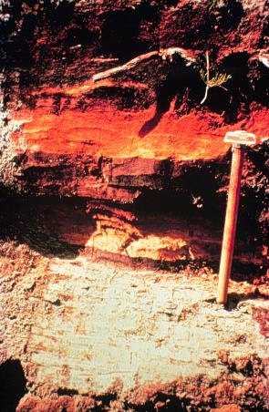 Image of buried cascade ashes between peat layers as they appeared in 1975.