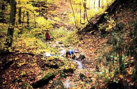 Image of a first-order stream in a forested area of the Wheeling Creek watershed.