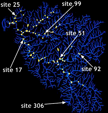 Image of a graph that displays the Wheeling Creek watershed.  Please have someone assist you with this.