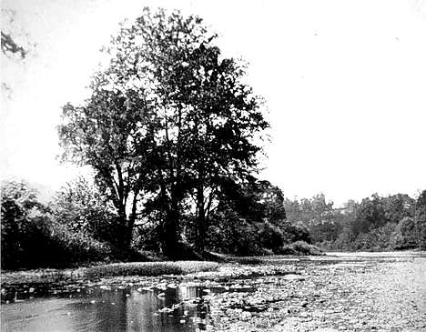 Image showing a scene on Big Wheeling Creek in 1904.