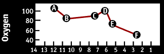 Image of a graph that displays the Oxygen.  Please have someone assist you with this.