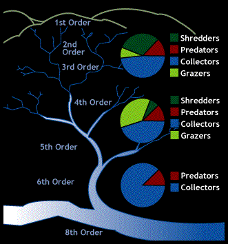 Image of a graph showing the different percentages of Shredders, Predators, Collectors, and Grazers that make up each order.  Please have someone assist you with this.