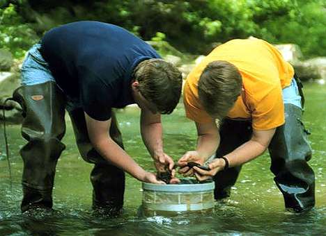 Image of two people checking rocks for bugs.