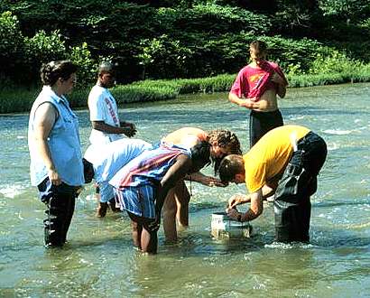 Image showing people in a stream sampling macroinvertebrates.