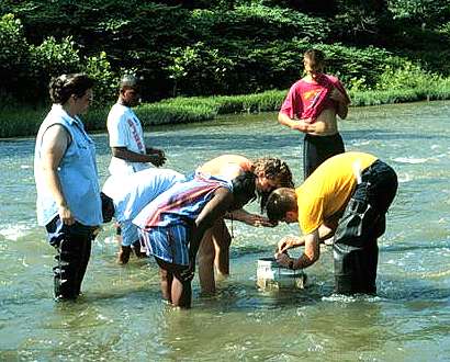 Image showing people in a stream sampling macroinvertebrates.