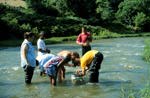 Image showing people in a stream sampling macroinvertebrates.  This image links to a more detailed image.