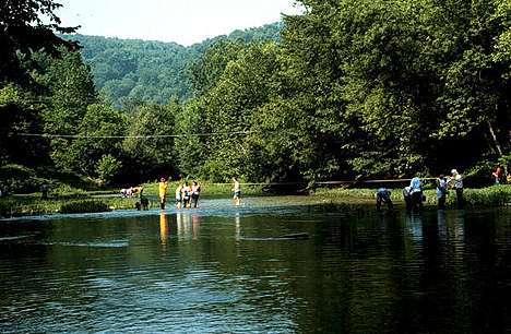 Image of lower Wheeling Creek site c: taken from ground level.