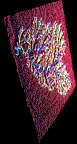 Image showing Wheeling Creek streams draped over elevation.  This image links to a more detailed image.