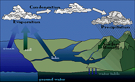 Image showing the water cycle.  Please have someone assist you with this.
