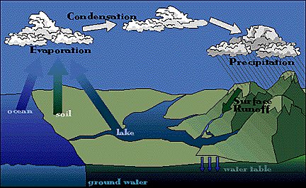 precipitation water cycle