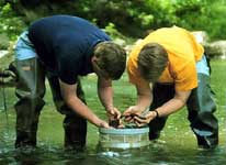 Image of some students using a Hess sampler to collect benthic sample in a large stream in the Wheeling Creek watershed.