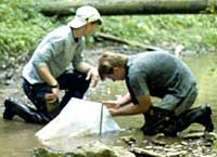 Image of some students using a Surber sampler to collect benthic sample in a small stream in the Wheeling Creek watershed.