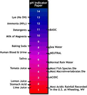 Image of a pH strip with the values of common substances labeled.  Please have someone assist you with this.