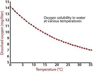 Image of a graph that displays oxygen solubility in water at various temperatures.  Please have someone assist you with this.