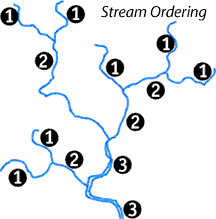 Image showing a stream ordering.  Please have someone assist you with this.