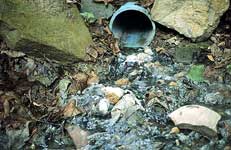 Image of raw sewage being piped directly into a Wheeling Creek tributary.