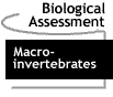 Image that says Biological Assessment.