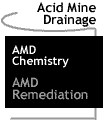 Image that says AMD Remediation.