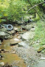Image of a headwater stream carrying acid mine drainage.