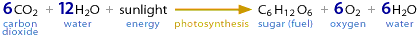 Image showing the net chemical reaction for the process of photosynthesis.  Please have someone assist you with this.