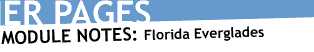 Image that reads Module Notes: Florida Everglades.